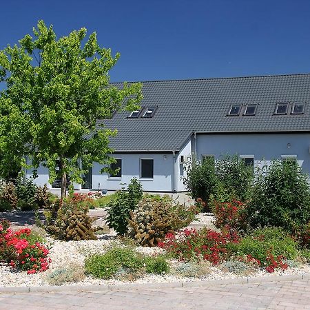 Hedervari Lovas Vendeghaz Exterior photo